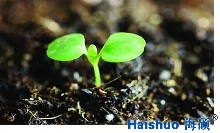 微信圖片_20171225090426.jpg 微信圖片_20171225090426.jpg