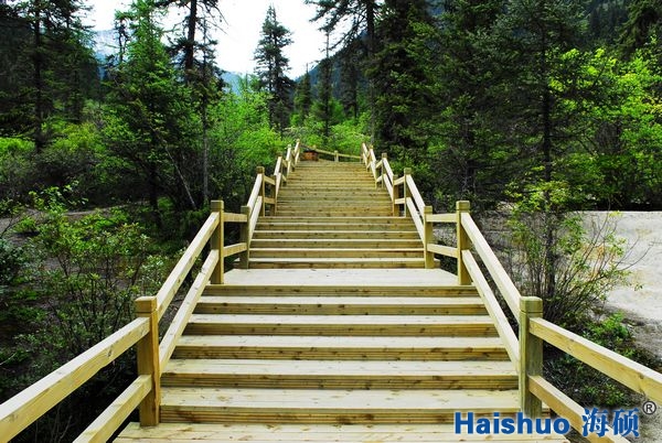 ����ذ����ľľ����HS-M-03